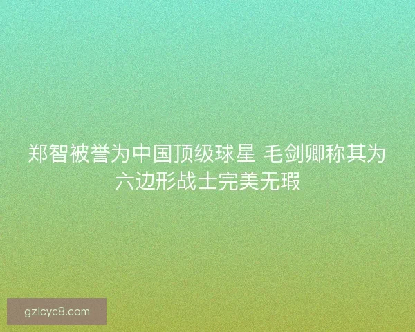 郑智被誉为中国顶级球星 毛剑卿称其为六边形战士完美无瑕